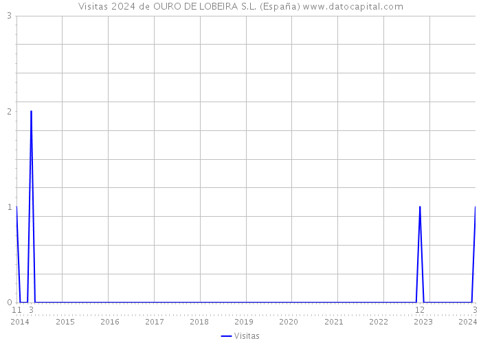 Visitas 2024 de OURO DE LOBEIRA S.L. (España) 