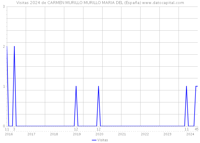 Visitas 2024 de CARMEN MURILLO MURILLO MARIA DEL (España) 