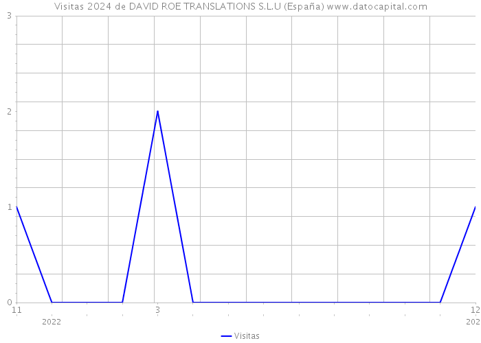 Visitas 2024 de DAVID ROE TRANSLATIONS S.L.U (España) 
