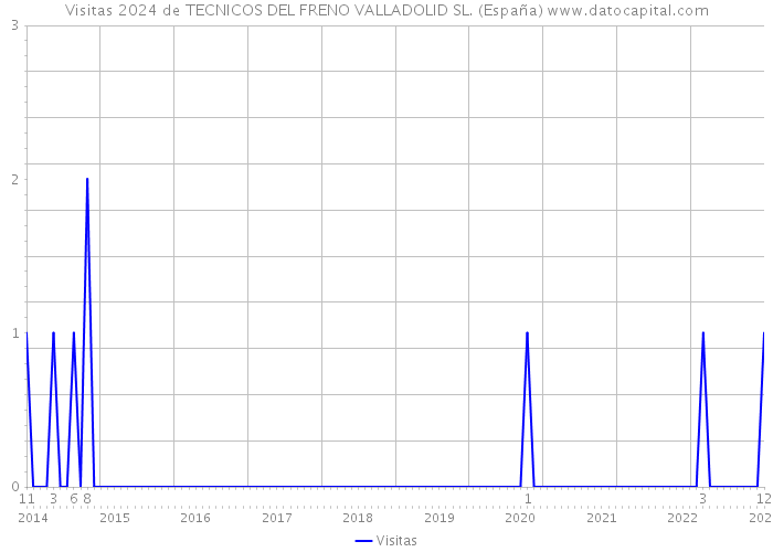 Visitas 2024 de TECNICOS DEL FRENO VALLADOLID SL. (España) 