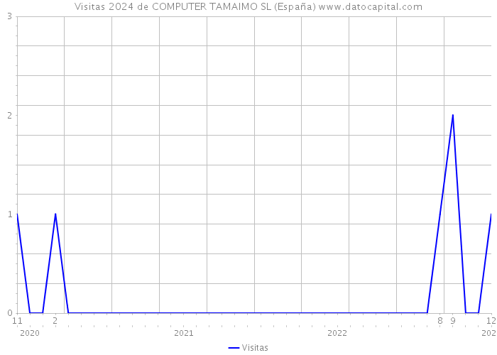 Visitas 2024 de COMPUTER TAMAIMO SL (España) 