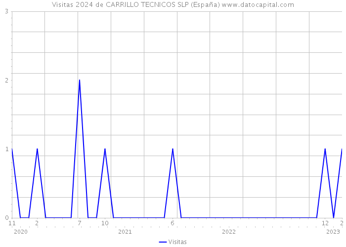 Visitas 2024 de CARRILLO TECNICOS SLP (España) 