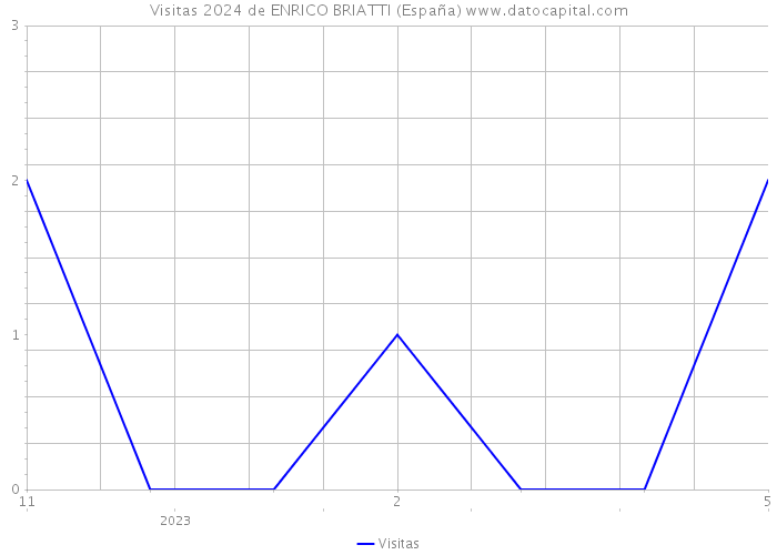 Visitas 2024 de ENRICO BRIATTI (España) 