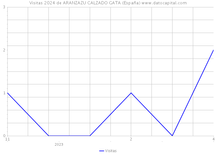 Visitas 2024 de ARANZAZU CALZADO GATA (España) 