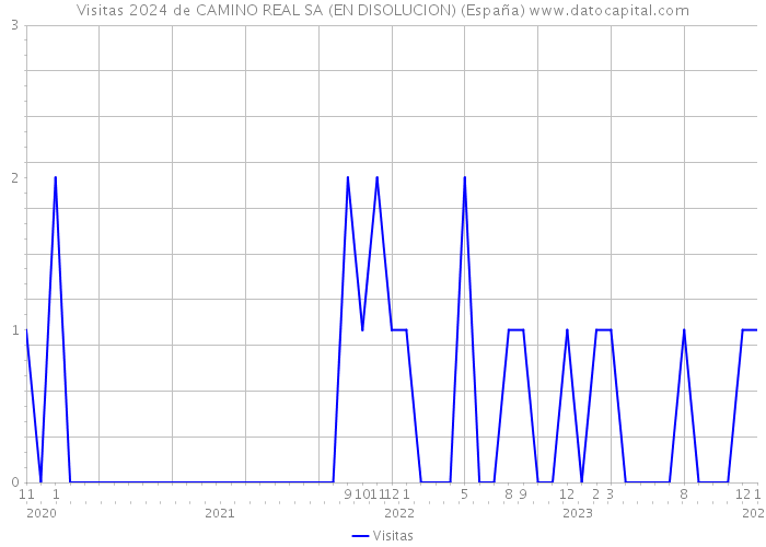 Visitas 2024 de CAMINO REAL SA (EN DISOLUCION) (España) 