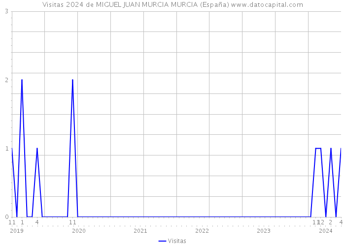 Visitas 2024 de MIGUEL JUAN MURCIA MURCIA (España) 