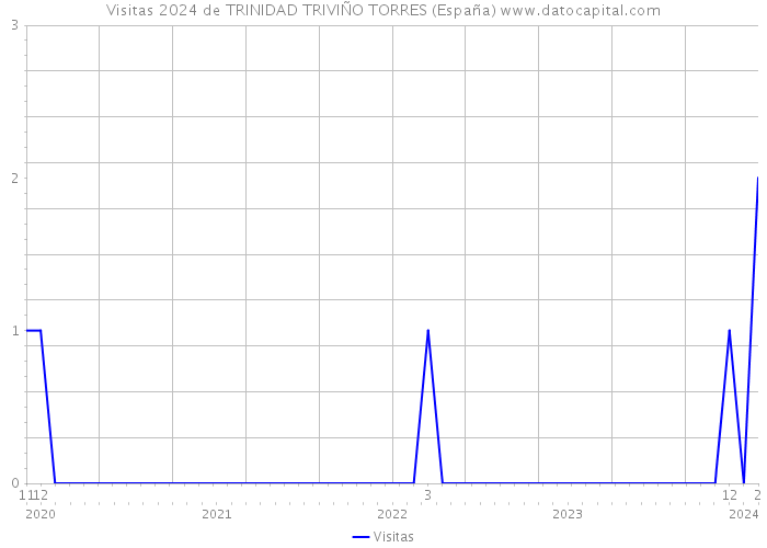 Visitas 2024 de TRINIDAD TRIVIÑO TORRES (España) 
