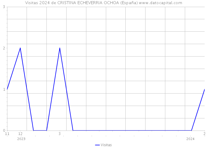 Visitas 2024 de CRISTINA ECHEVERRIA OCHOA (España) 