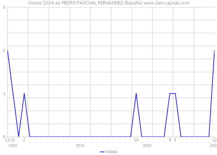 Visitas 2024 de PEDRO PASCUAL FERNANDEZ (España) 