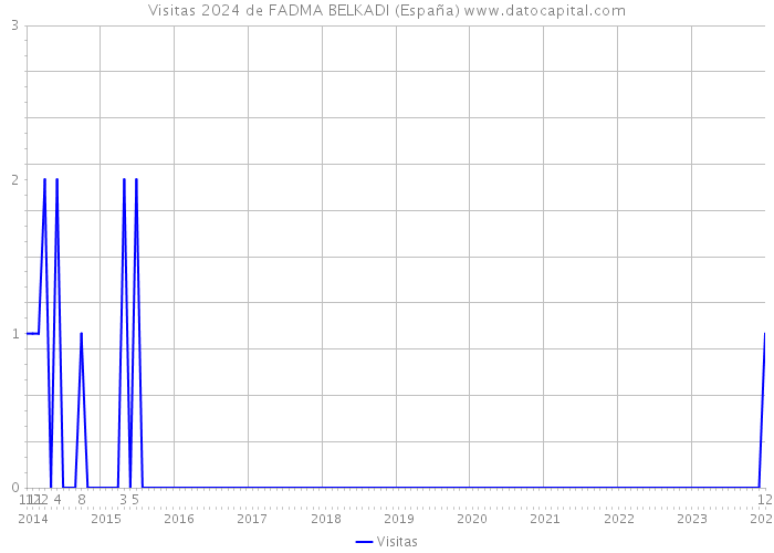 Visitas 2024 de FADMA BELKADI (España) 
