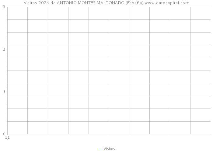 Visitas 2024 de ANTONIO MONTES MALDONADO (España) 