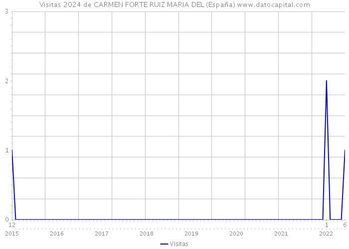 Visitas 2024 de CARMEN FORTE RUIZ MARIA DEL (España) 
