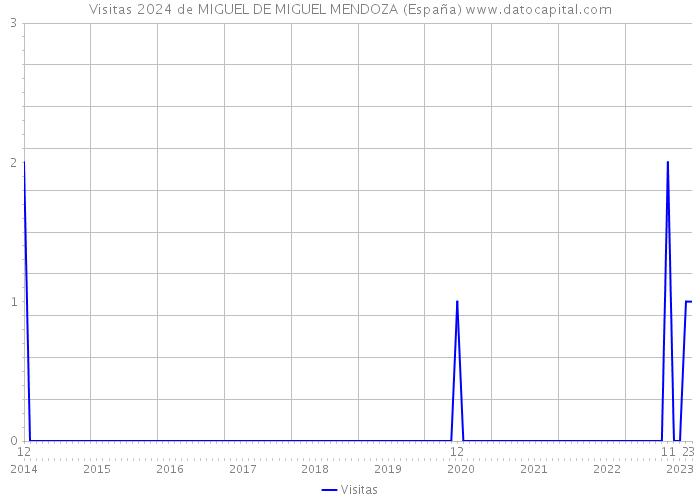 Visitas 2024 de MIGUEL DE MIGUEL MENDOZA (España) 