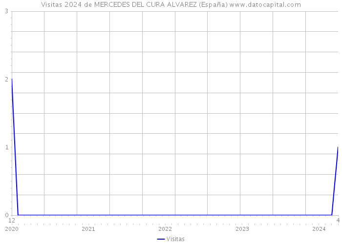 Visitas 2024 de MERCEDES DEL CURA ALVAREZ (España) 