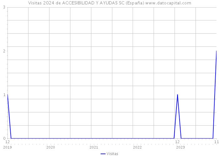 Visitas 2024 de ACCESIBILIDAD Y AYUDAS SC (España) 