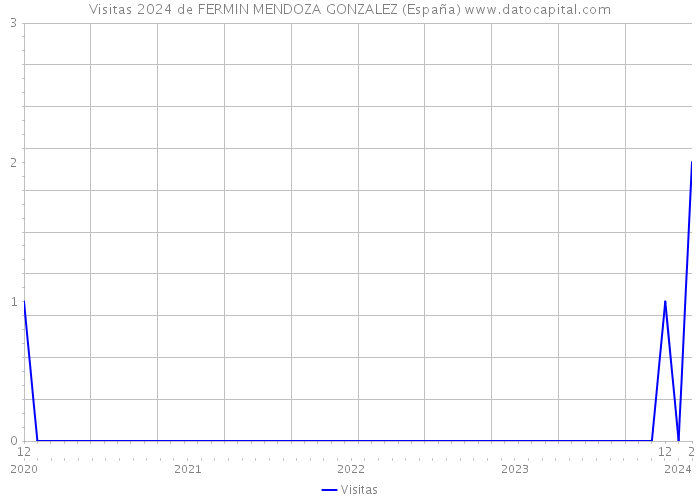 Visitas 2024 de FERMIN MENDOZA GONZALEZ (España) 