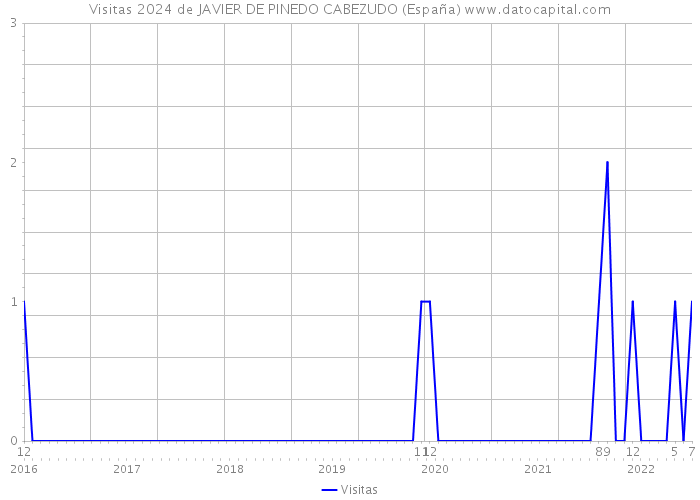 Visitas 2024 de JAVIER DE PINEDO CABEZUDO (España) 