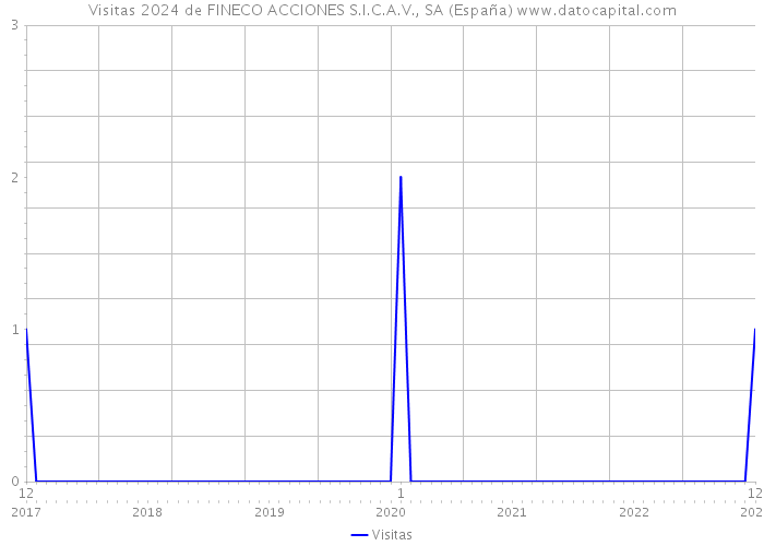 Visitas 2024 de FINECO ACCIONES S.I.C.A.V., SA (España) 