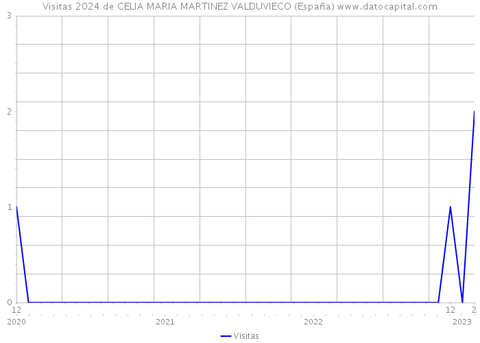 Visitas 2024 de CELIA MARIA MARTINEZ VALDUVIECO (España) 