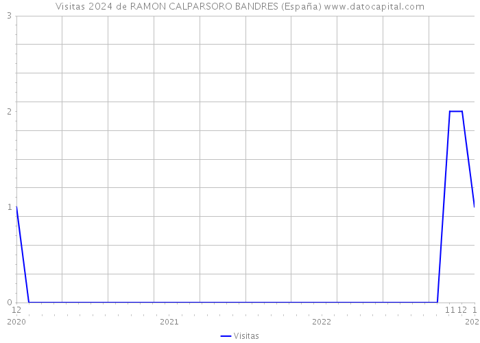 Visitas 2024 de RAMON CALPARSORO BANDRES (España) 