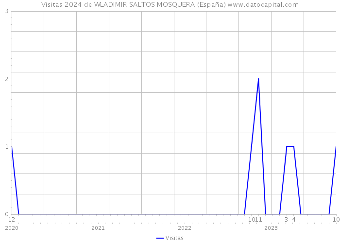 Visitas 2024 de WLADIMIR SALTOS MOSQUERA (España) 