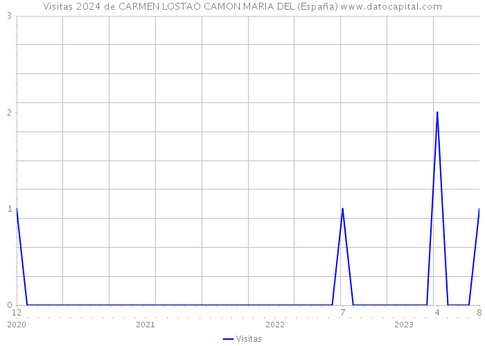 Visitas 2024 de CARMEN LOSTAO CAMON MARIA DEL (España) 