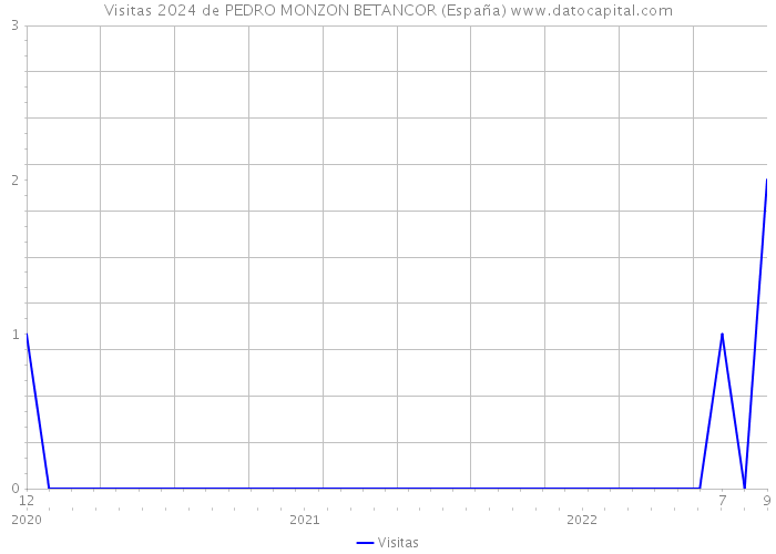 Visitas 2024 de PEDRO MONZON BETANCOR (España) 
