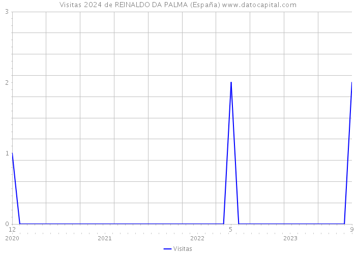 Visitas 2024 de REINALDO DA PALMA (España) 