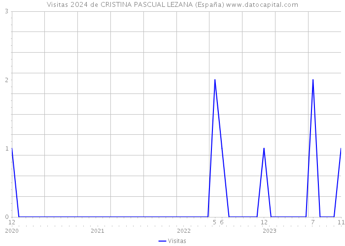 Visitas 2024 de CRISTINA PASCUAL LEZANA (España) 