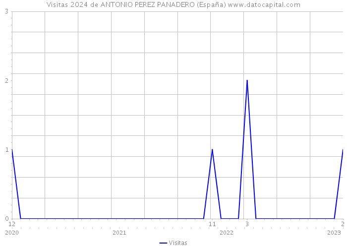 Visitas 2024 de ANTONIO PEREZ PANADERO (España) 