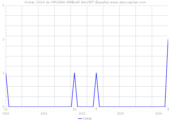 Visitas 2024 de VIRGINIA AMBLAR SALORT (España) 