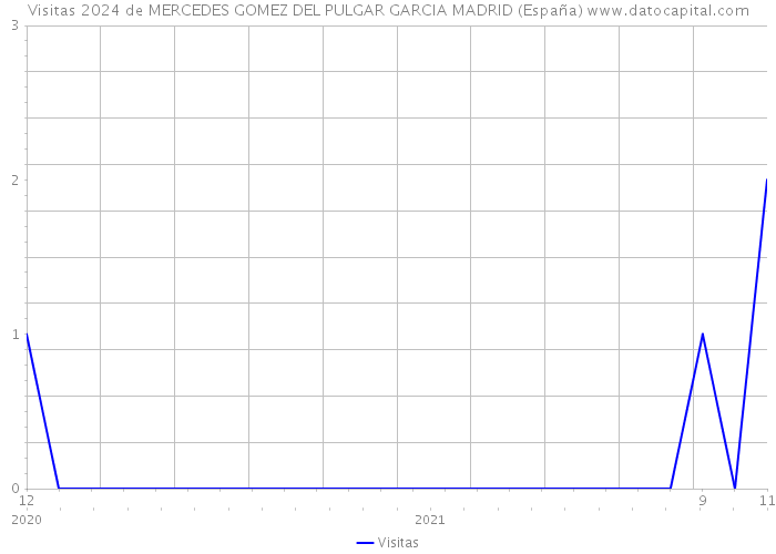 Visitas 2024 de MERCEDES GOMEZ DEL PULGAR GARCIA MADRID (España) 