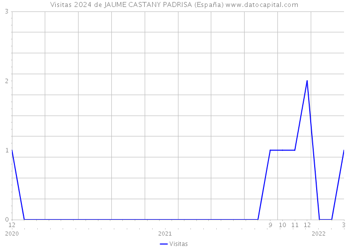 Visitas 2024 de JAUME CASTANY PADRISA (España) 