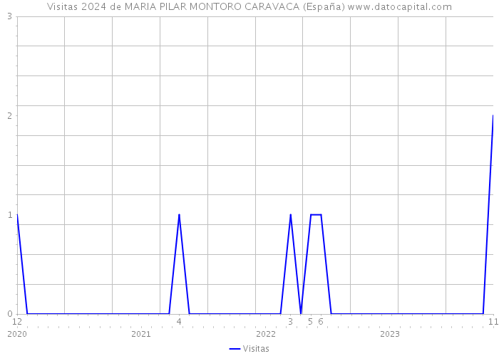 Visitas 2024 de MARIA PILAR MONTORO CARAVACA (España) 