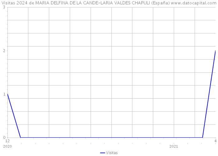 Visitas 2024 de MARIA DELFINA DE LA CANDE-LARIA VALDES CHAPULI (España) 