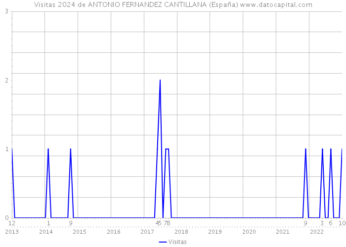 Visitas 2024 de ANTONIO FERNANDEZ CANTILLANA (España) 