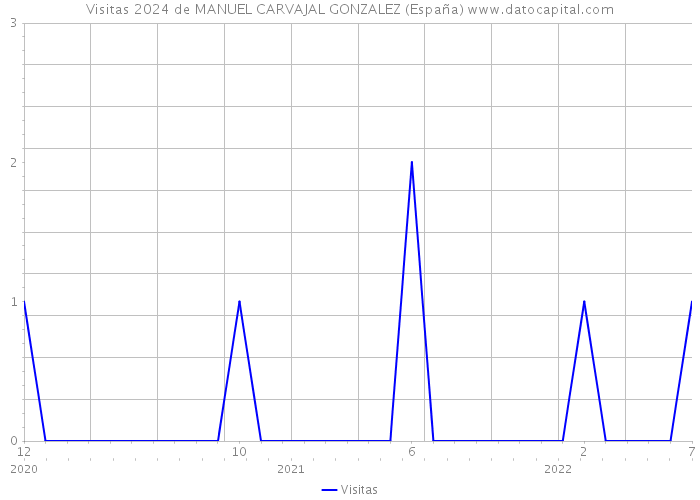 Visitas 2024 de MANUEL CARVAJAL GONZALEZ (España) 