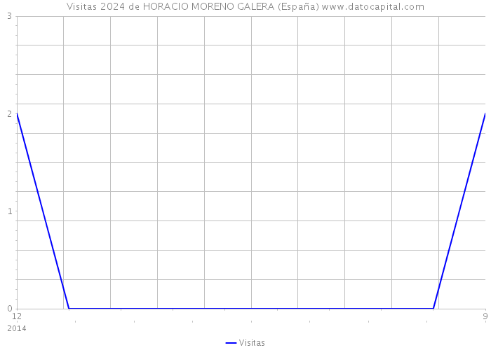 Visitas 2024 de HORACIO MORENO GALERA (España) 