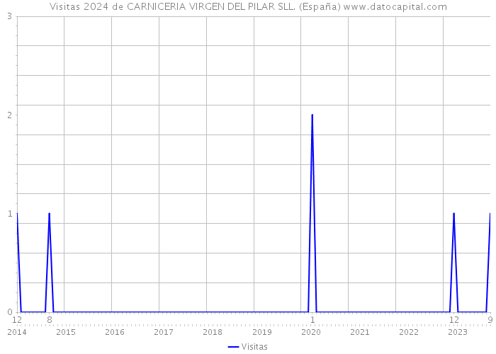 Visitas 2024 de CARNICERIA VIRGEN DEL PILAR SLL. (España) 
