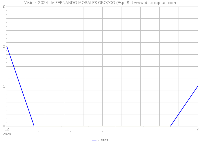 Visitas 2024 de FERNANDO MORALES OROZCO (España) 