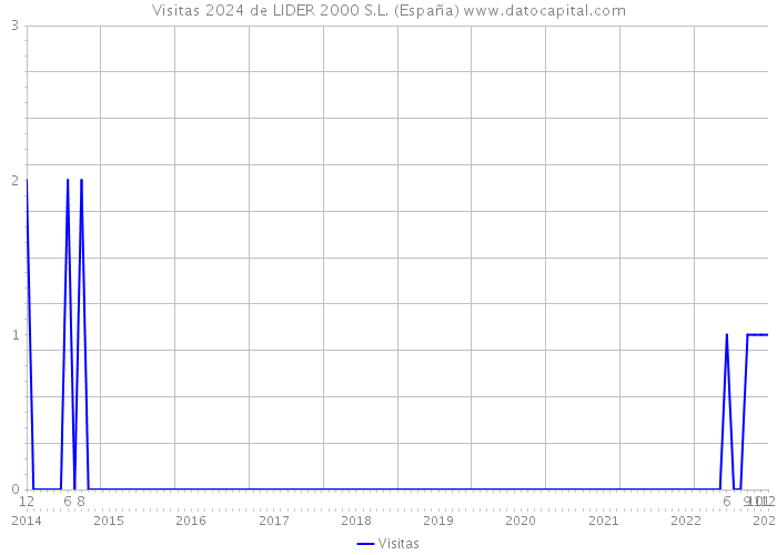 Visitas 2024 de LIDER 2000 S.L. (España) 