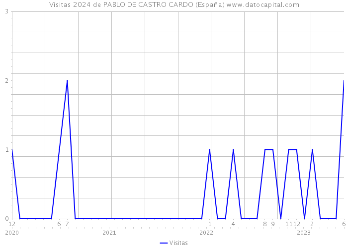 Visitas 2024 de PABLO DE CASTRO CARDO (España) 