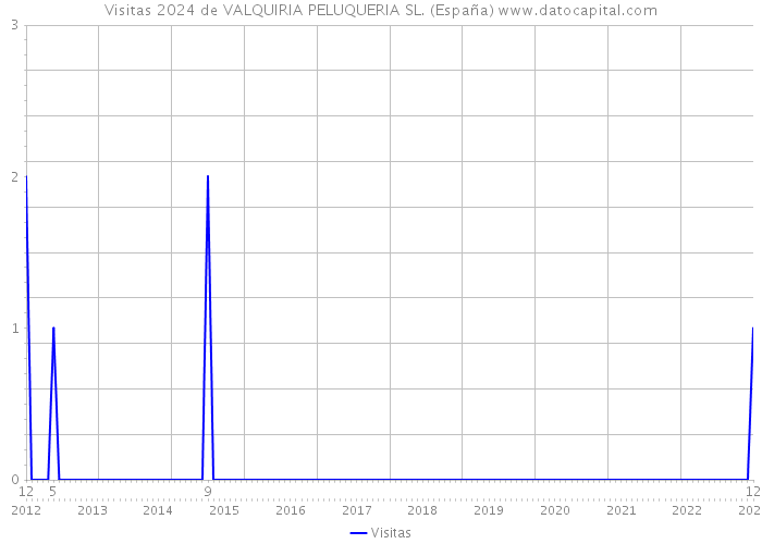 Visitas 2024 de VALQUIRIA PELUQUERIA SL. (España) 