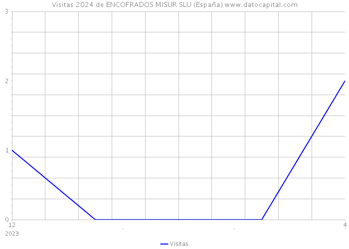 Visitas 2024 de ENCOFRADOS MISUR SLU (España) 