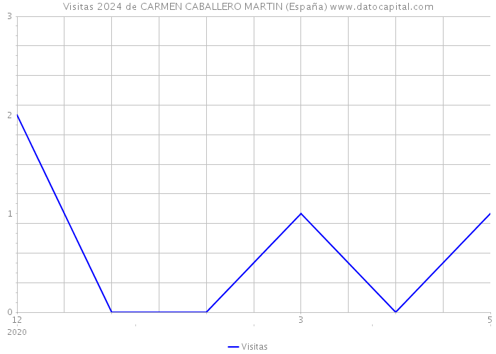 Visitas 2024 de CARMEN CABALLERO MARTIN (España) 