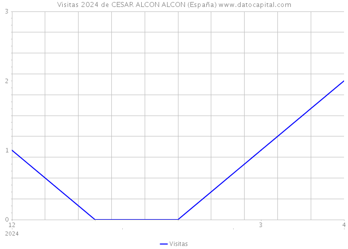 Visitas 2024 de CESAR ALCON ALCON (España) 