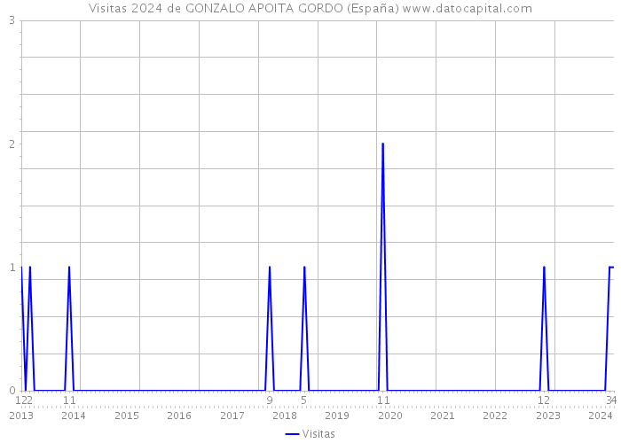 Visitas 2024 de GONZALO APOITA GORDO (España) 