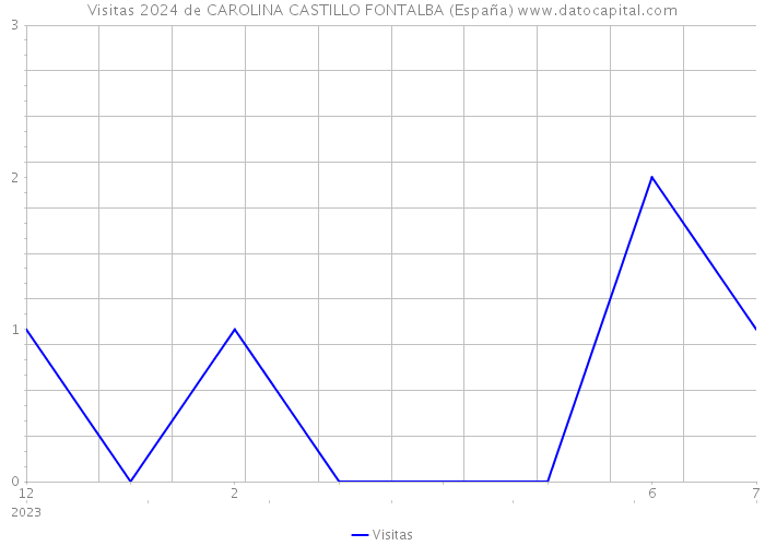 Visitas 2024 de CAROLINA CASTILLO FONTALBA (España) 