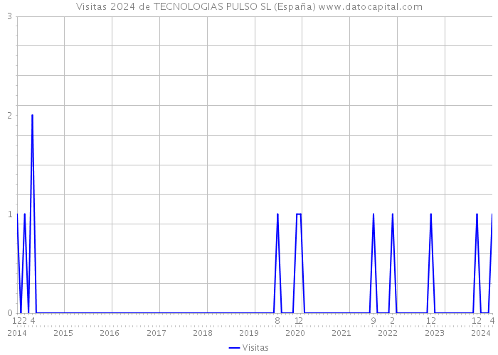 Visitas 2024 de TECNOLOGIAS PULSO SL (España) 