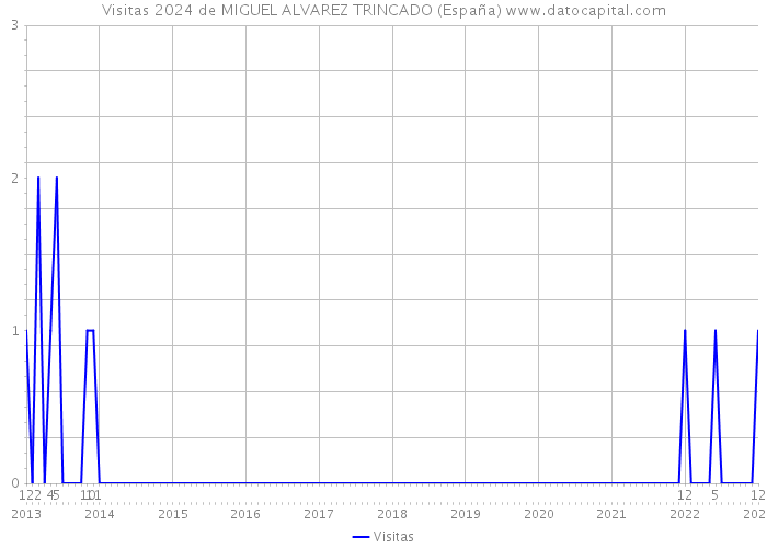 Visitas 2024 de MIGUEL ALVAREZ TRINCADO (España) 